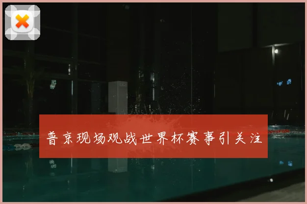 普京现场观战世界杯赛事引关注